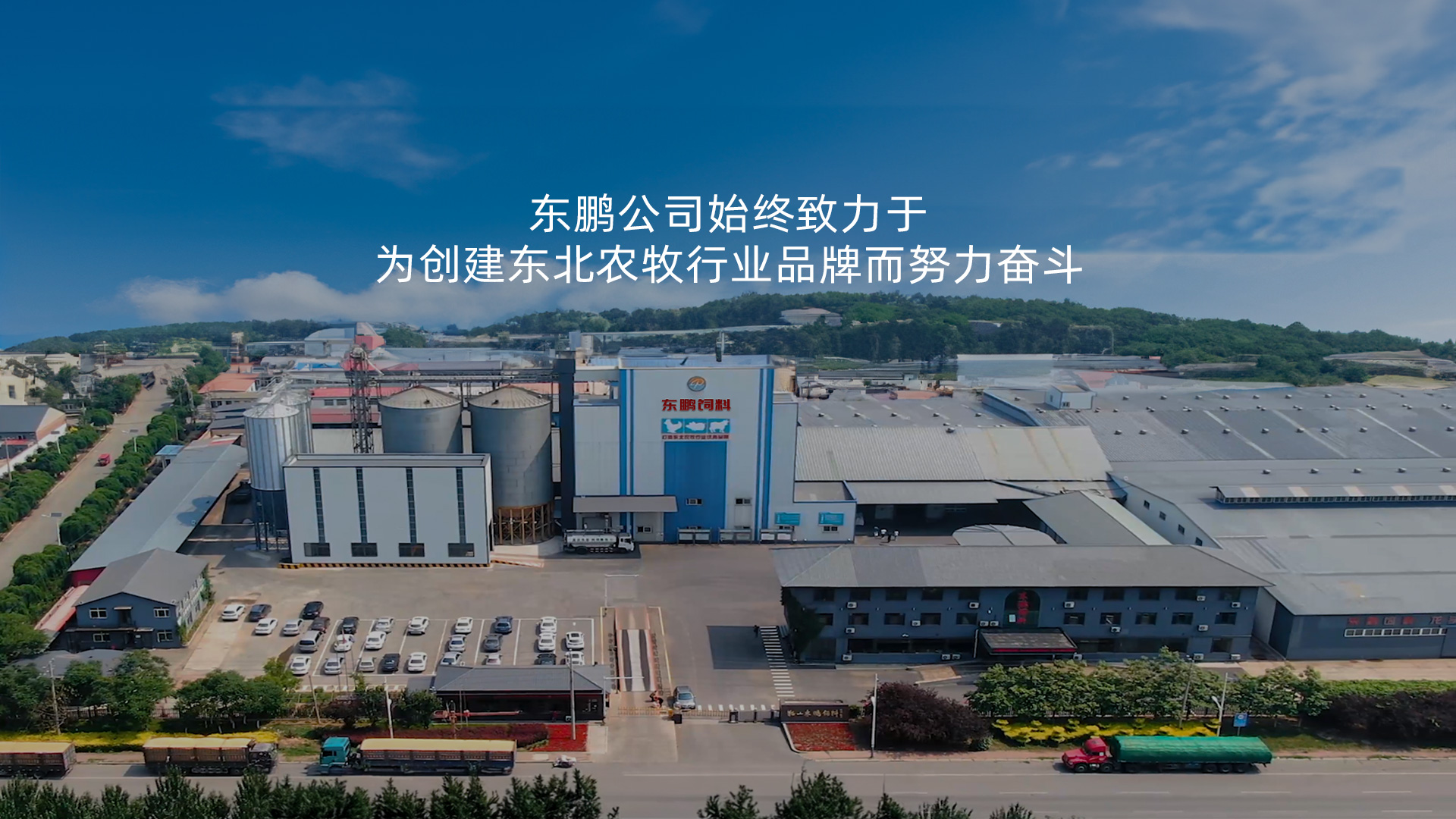 鞍山饲料